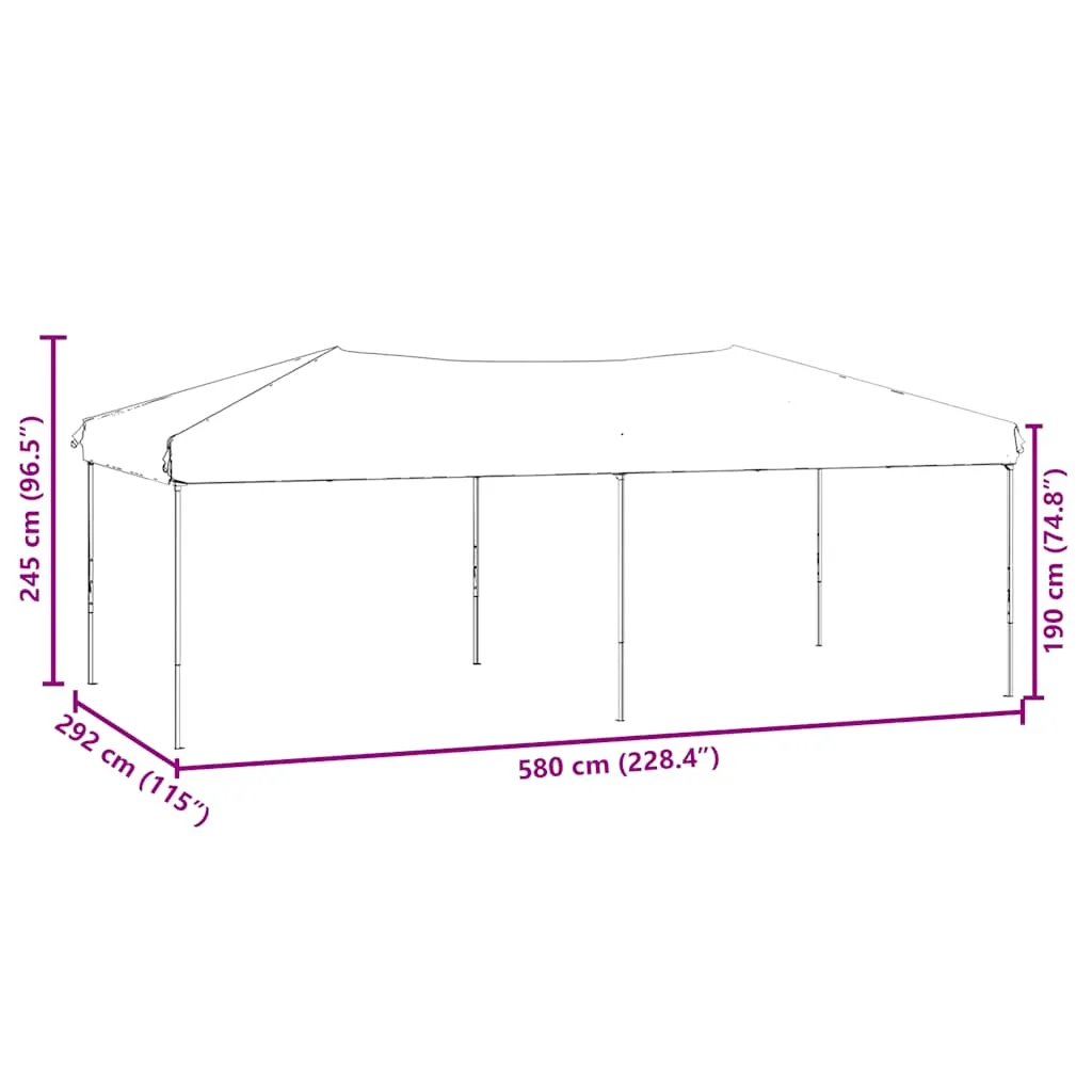 Faltbares Partyzelt 580x292x245 cm Schwarz mit Stahlgestell