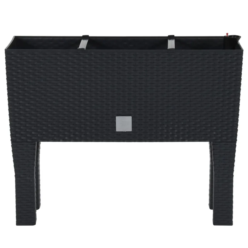 Hochbeet Pflanzkübel 60x25x46 cm Anthrazit Polypropylen Rattan-Optik