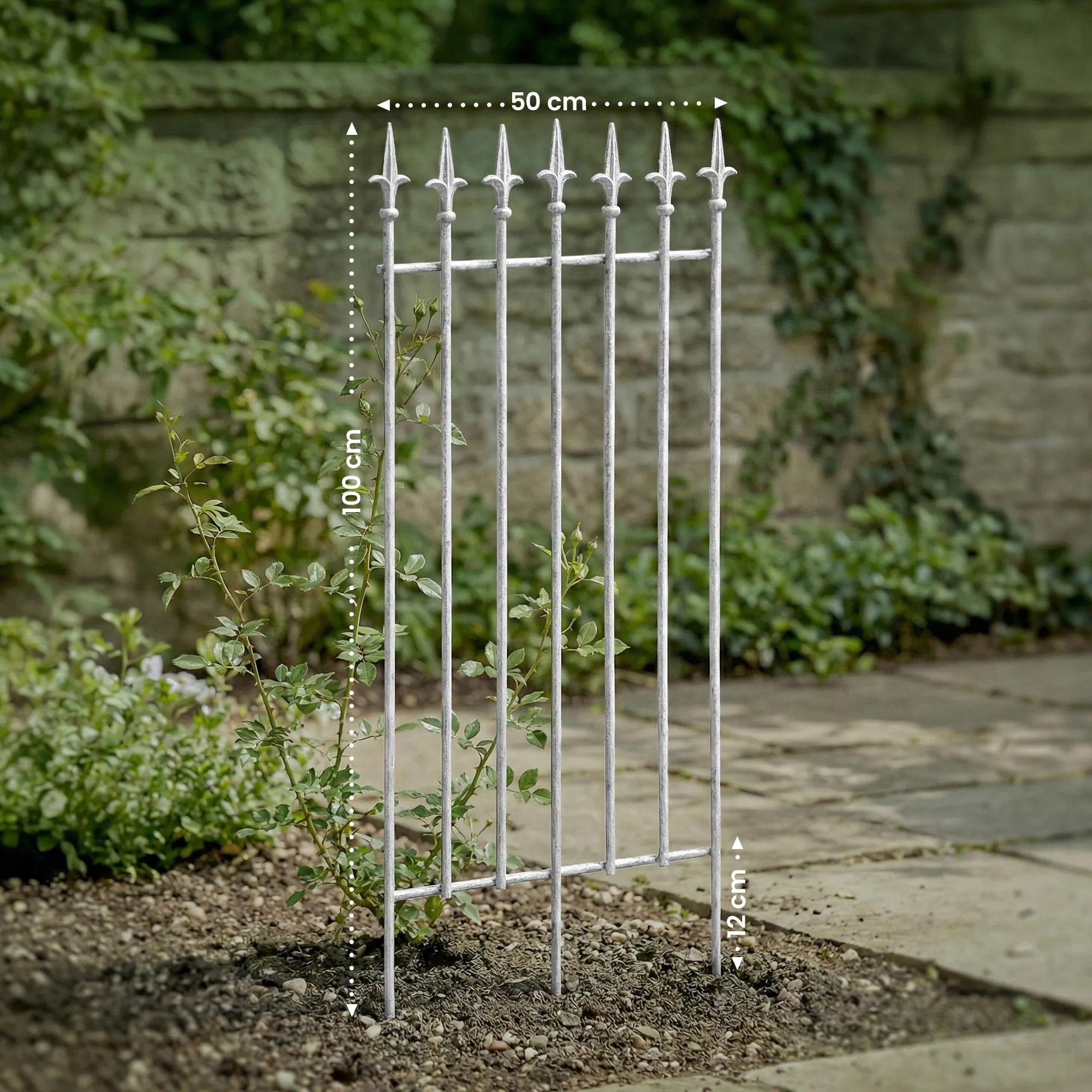 Rankgitter Elisa 100x50 cm antik weiß
