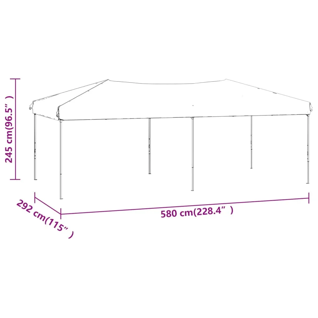 Faltbares Partyzelt 580x292x245 cm Schwarz mit Stahlgestell