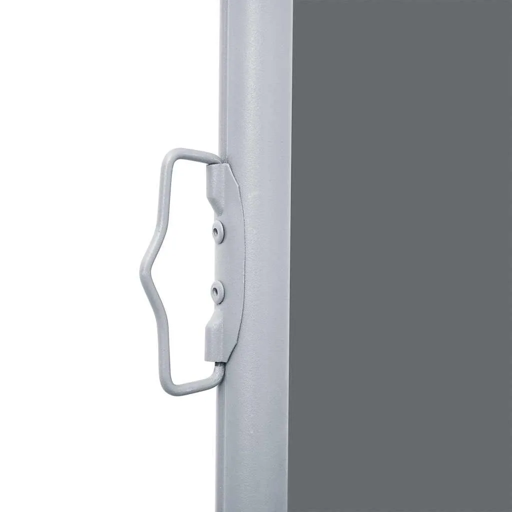 Garten-Seitenmarkise 100 x (0-1000) cm Anthrazit