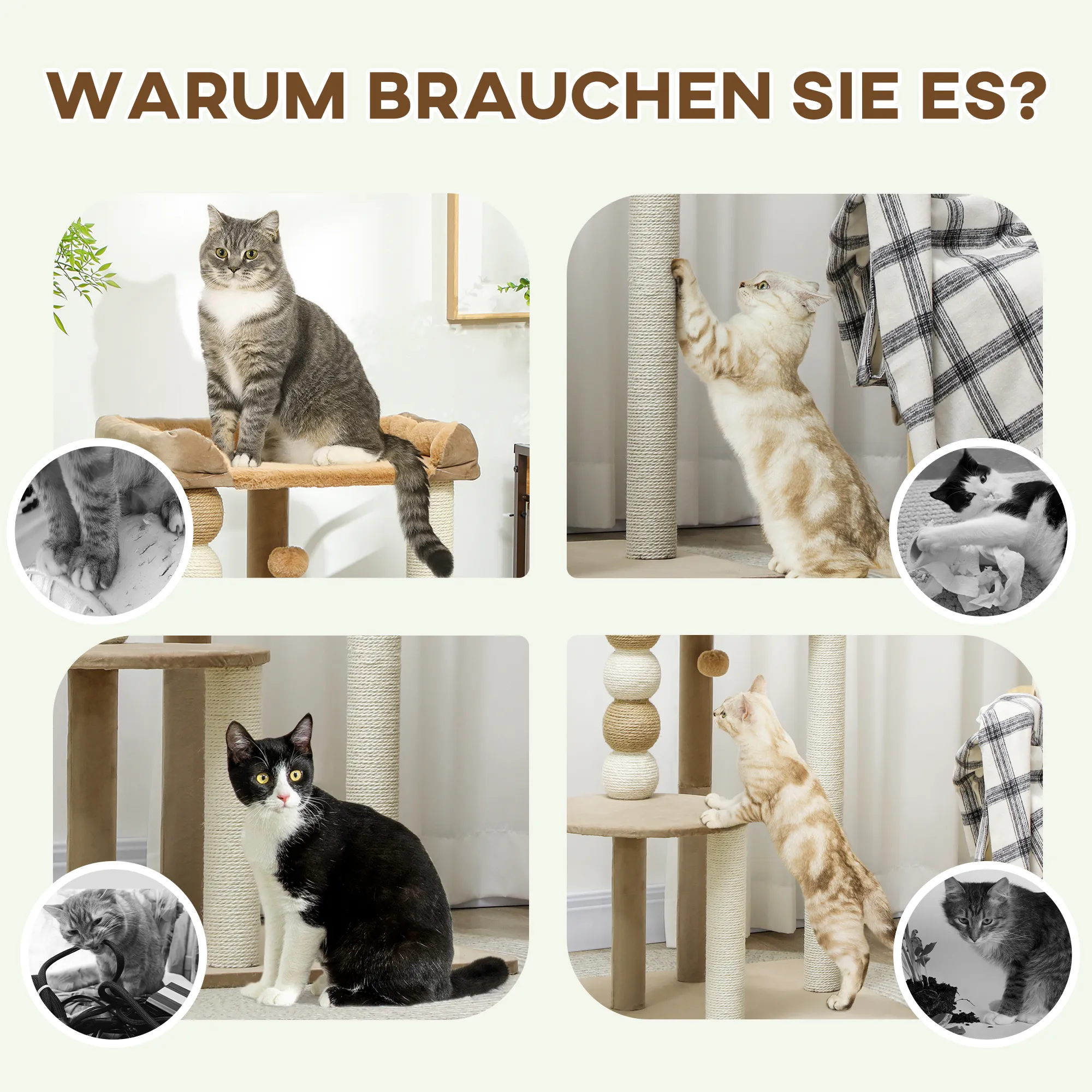 Luxuriöser Kratzbaum 56L x 54B x 86H cm in Kaffee
