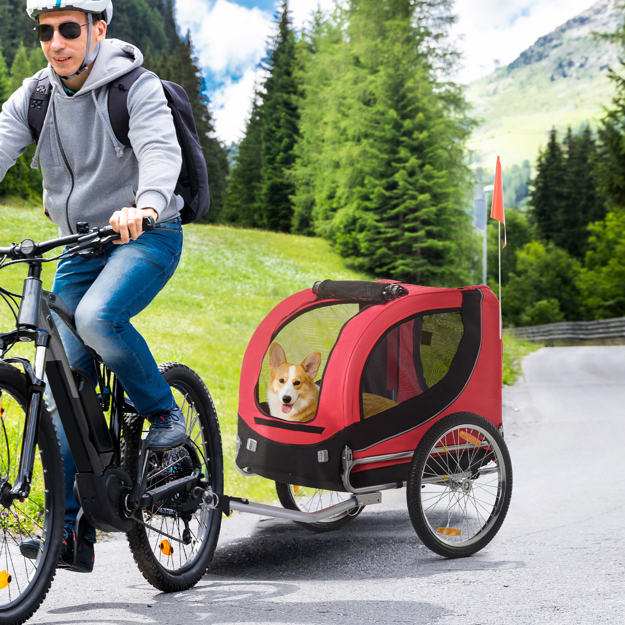Hundeanhänger für Fahrräder bis 20 kg aus Stahl, Rot+Schwarz