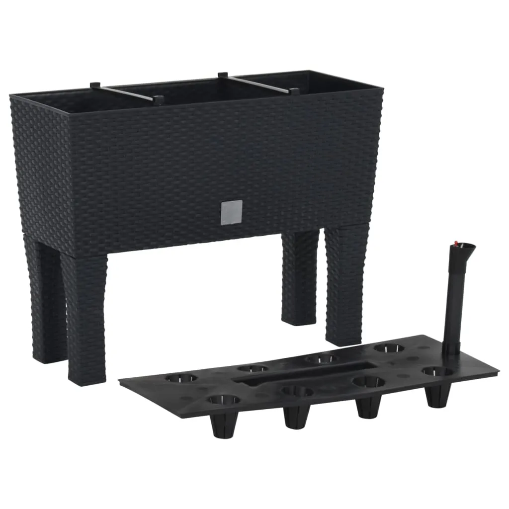 Hochbeet Pflanzkübel 60x25x46 cm Anthrazit Polypropylen Rattan-Optik