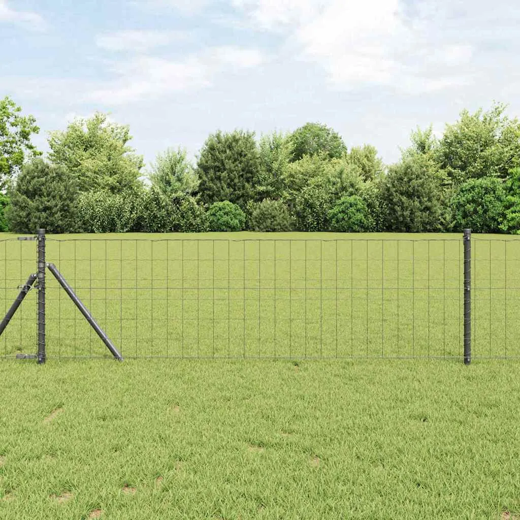 Eurozaun 0,4 x 10 m PVC-beschichtetes Eisen Grau
