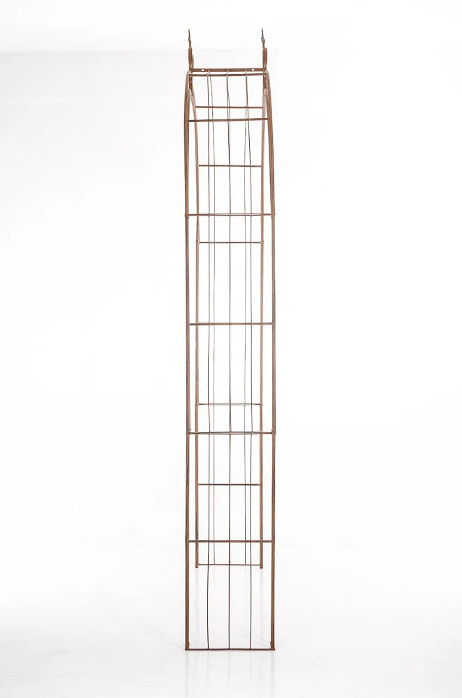 Rosenbogen Sun 260x148x34,5 cm antik braun