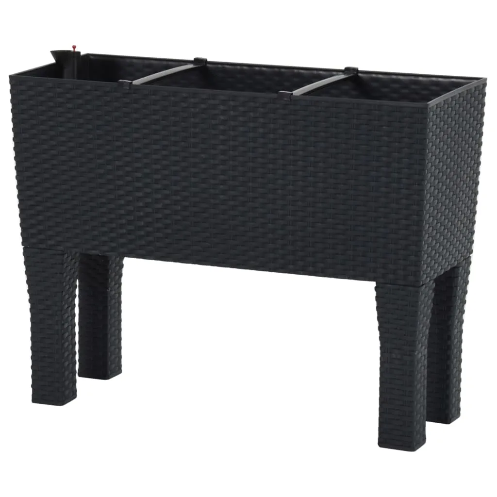 Hochbeet Pflanzkübel 60x25x46 cm Anthrazit Polypropylen Rattan-Optik