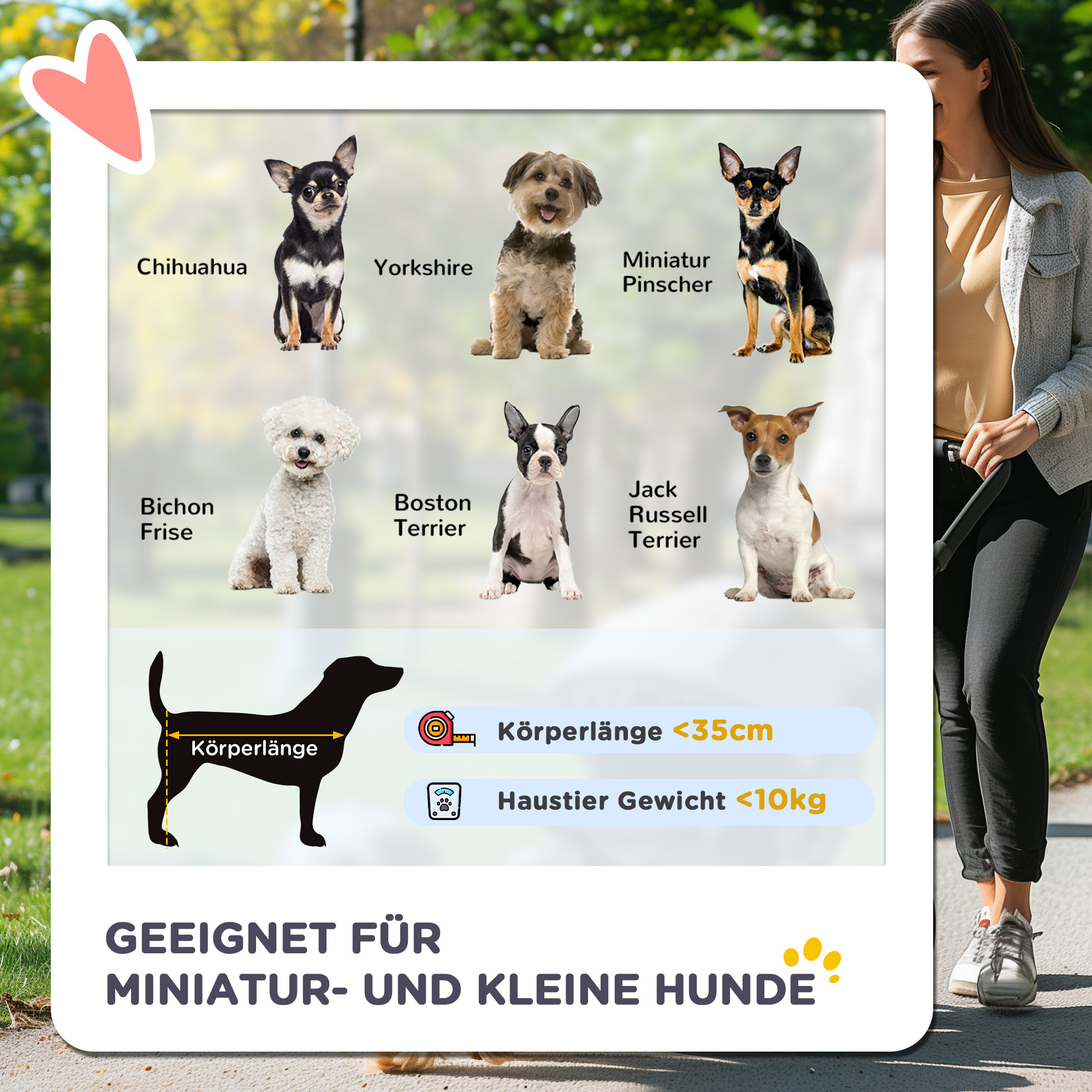 Hundebuggy klappbar für kleine Hunde bis 10 kg, Rot