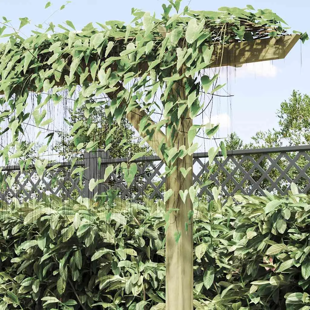 Holz-Pergola Gartenbogen 205x40x203 cm grün imprägniert