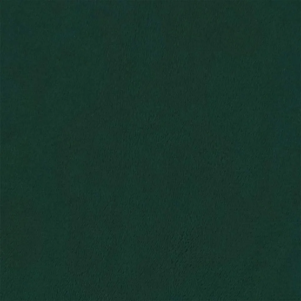 Tagesbett Dunkelgrün 80x200 cm Samt