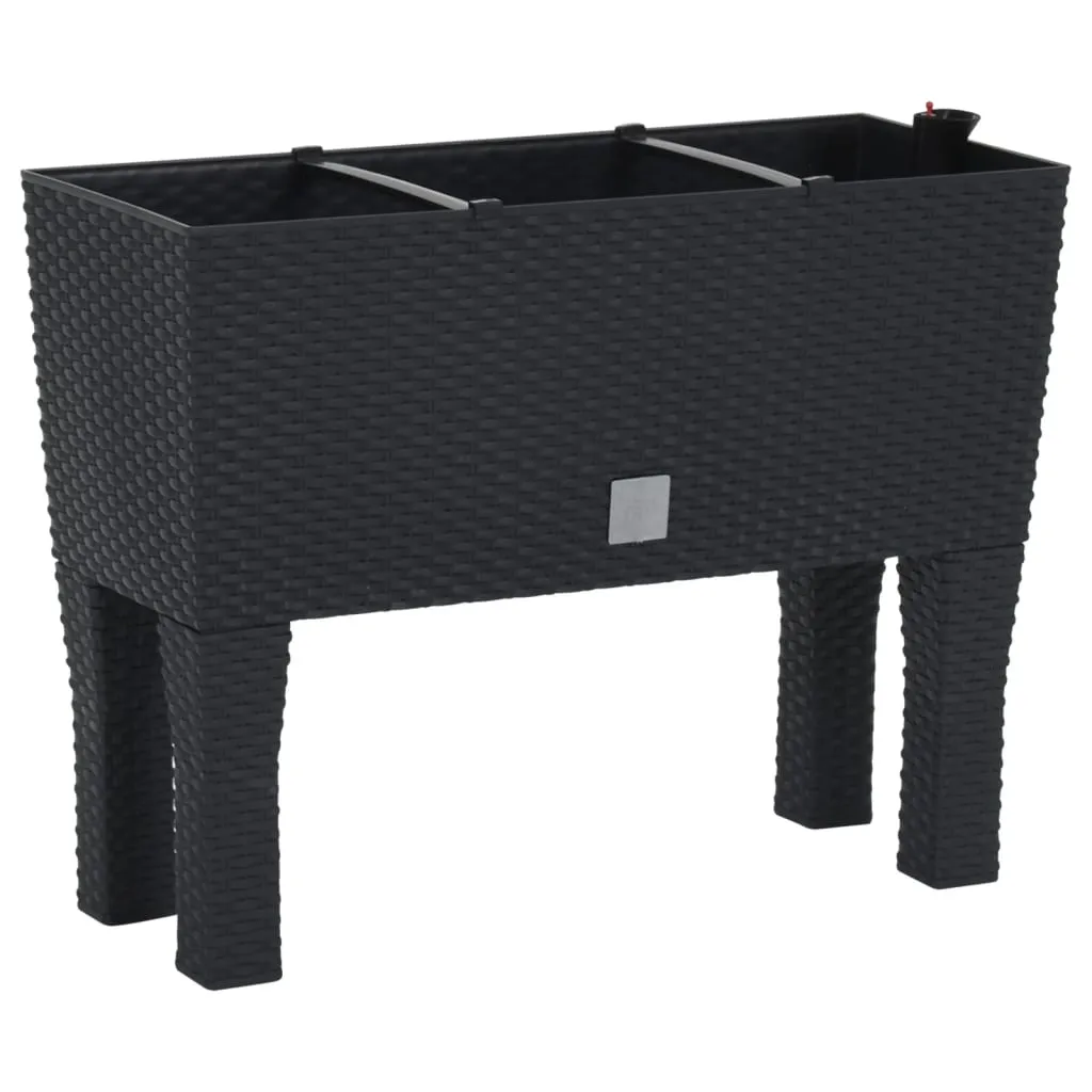 Hochbeet Pflanzkübel 60x25x46 cm Anthrazit Polypropylen Rattan-Optik
