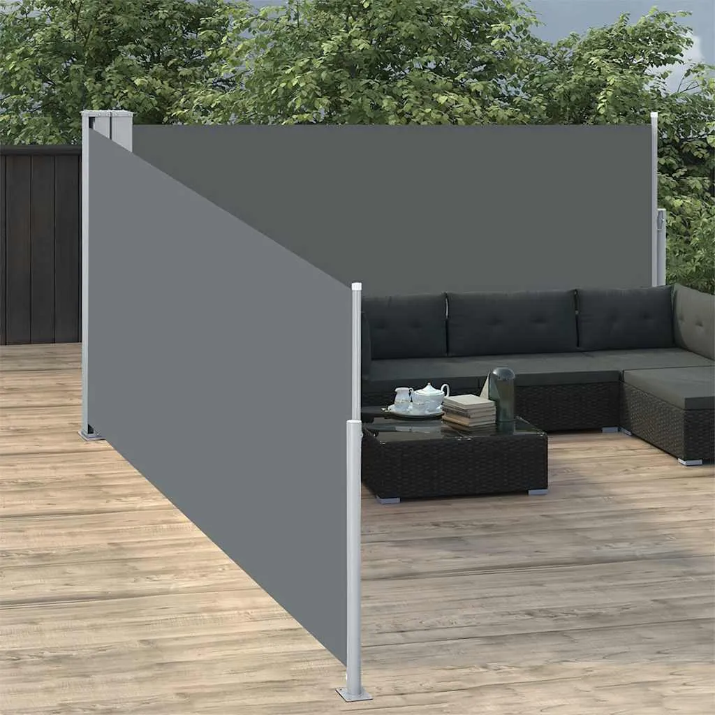 Garten-Seitenmarkise 100 x (0-1000) cm Anthrazit