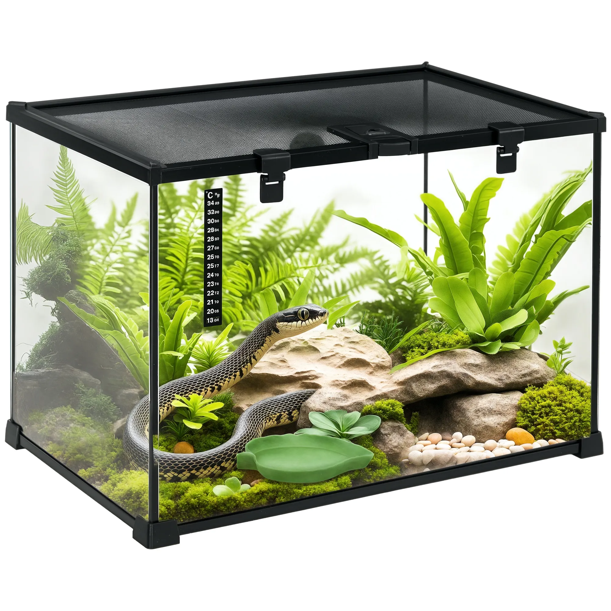 Terrarium für Reptilien Reptile Fütterungsbox Glasterrarium Amphibien Spinnentiere mit Thermometer Reptilienzuchtbox für Schnecken Amphibien Insekten Schildkröten Schwarz 50 x 30 x 35 cm