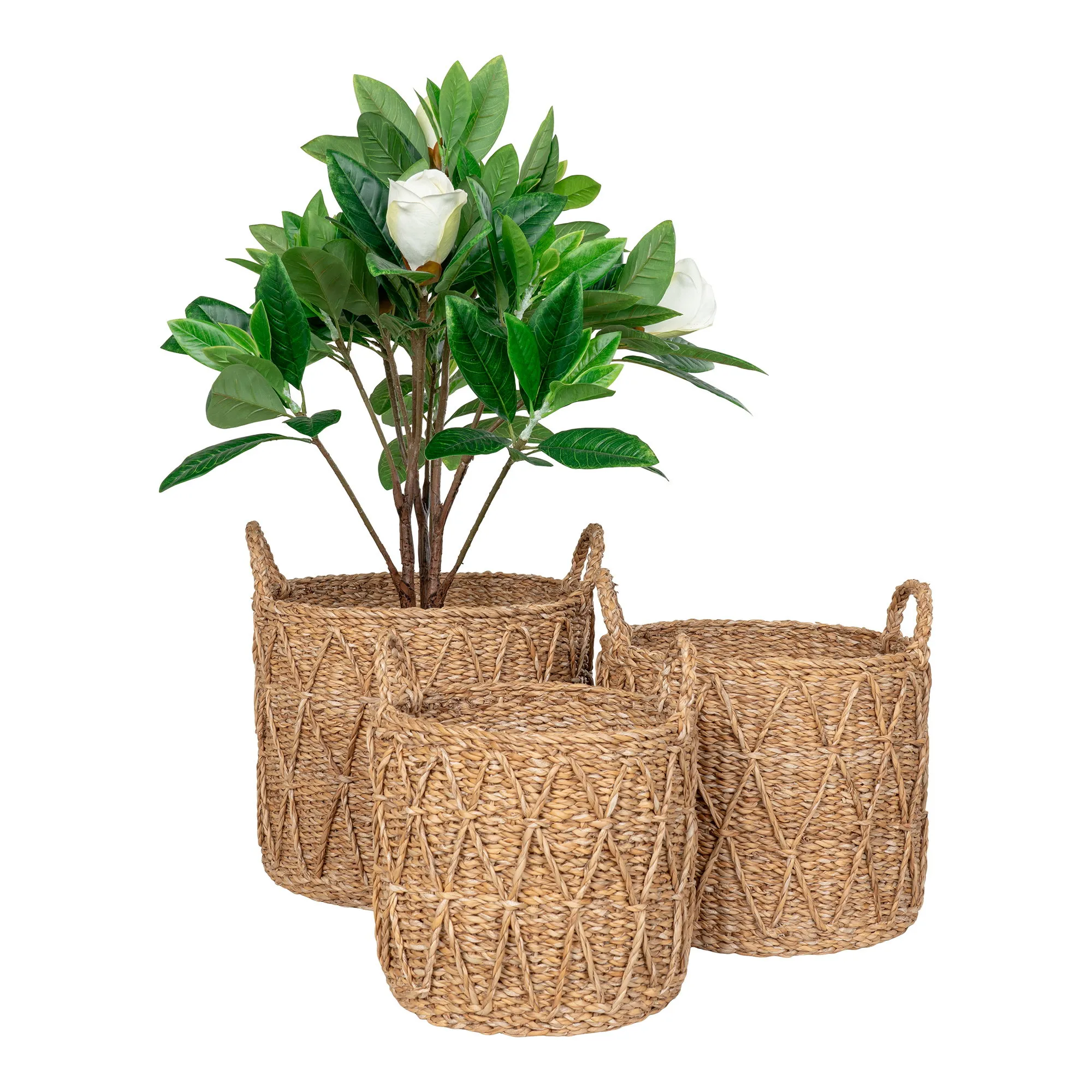 tinkaro Körbe Set aus Seegras 28/32/36 cm Natur