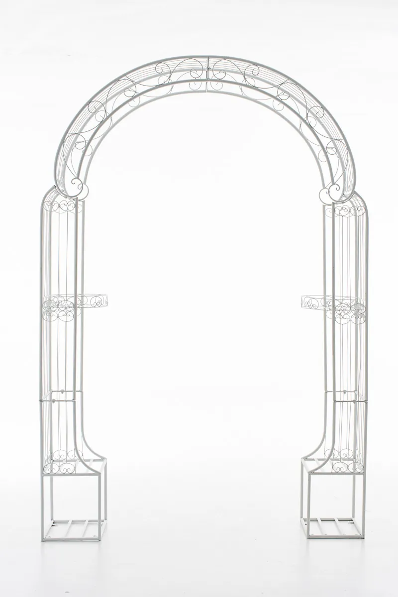 Rosenbogen Alessia 239,5x163x34 cm weiß