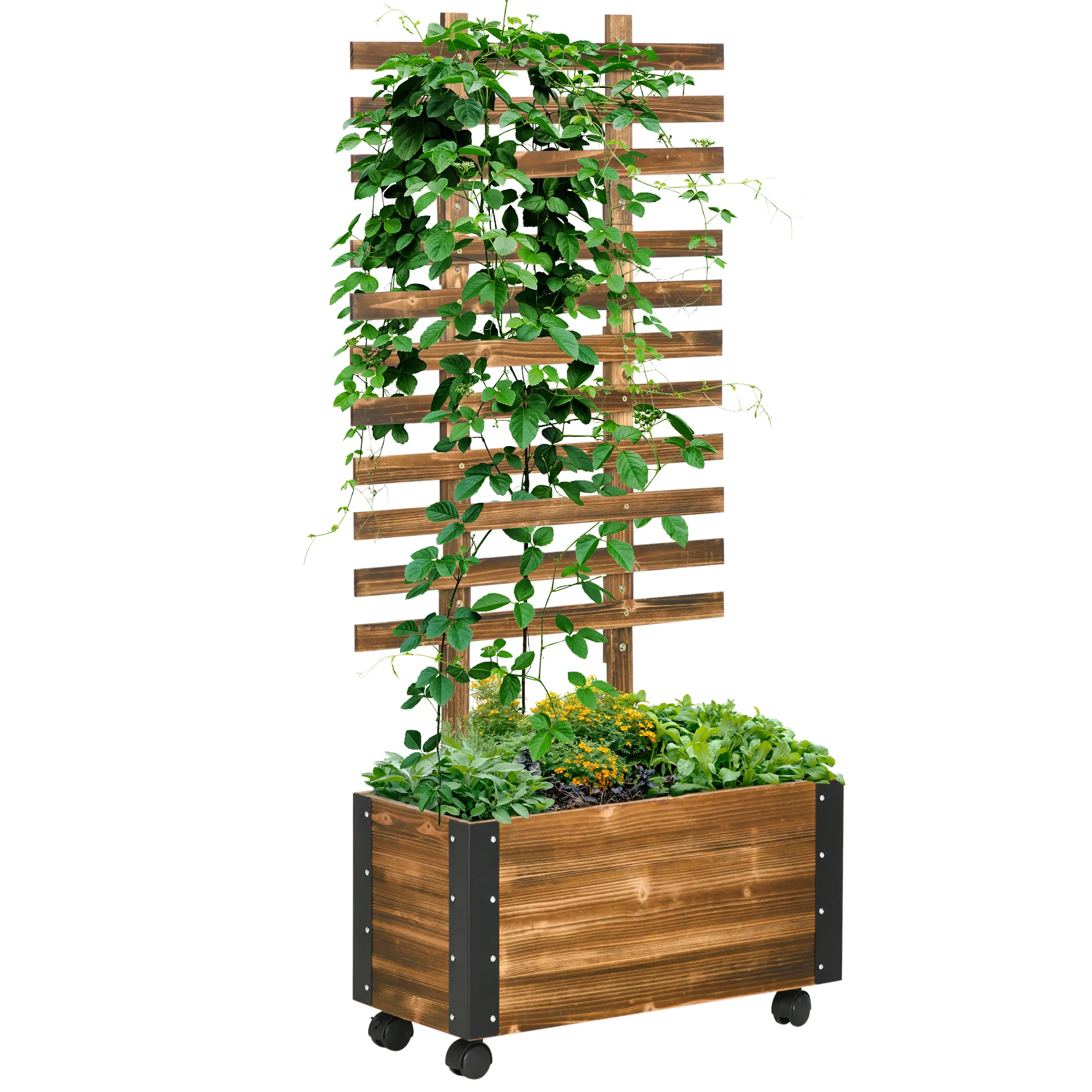 Hochbeet mit Rankhilfe 65L x 31B x 147H cm in Verkohlt
